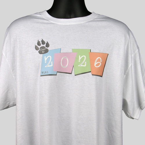 Retro-inspired 2026 Color Blocked T-shirt